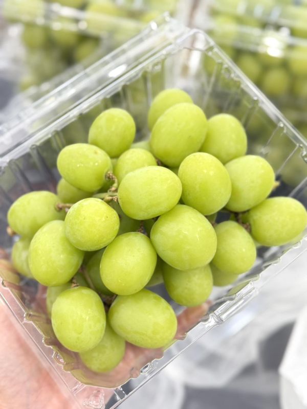 秘魯3J巨無霸秋脆葡萄 秘魯秋脆葡萄,秋脆葡萄,秋脆,葡萄,綠葡萄,cadime,3J秋脆葡萄,3J