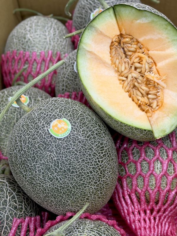 溫室精品卡蜜拉哈密瓜 卡蜜拉哈密瓜,哈密瓜