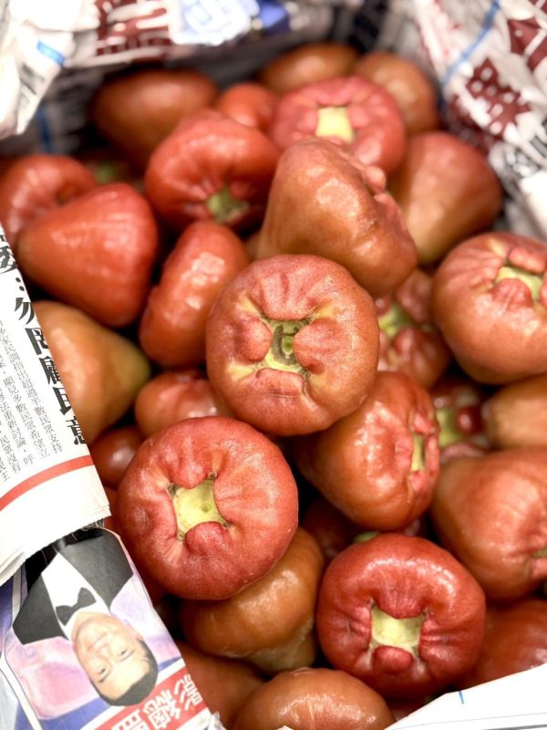 在地嚴選林邊蓮霧 蓮霧