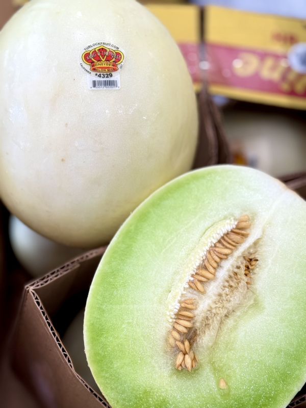 美國蜜世界哈密瓜 哈密瓜