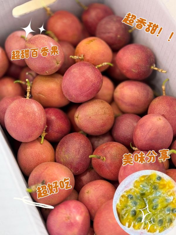 爆甜紫樽百香果 紫樽百香果,紫樽,百香果
