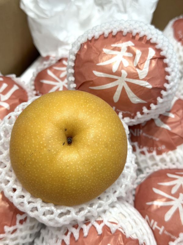 韓國進口大水梨 新高梨,韓國梨,金果梨,水梨,韓國水梨