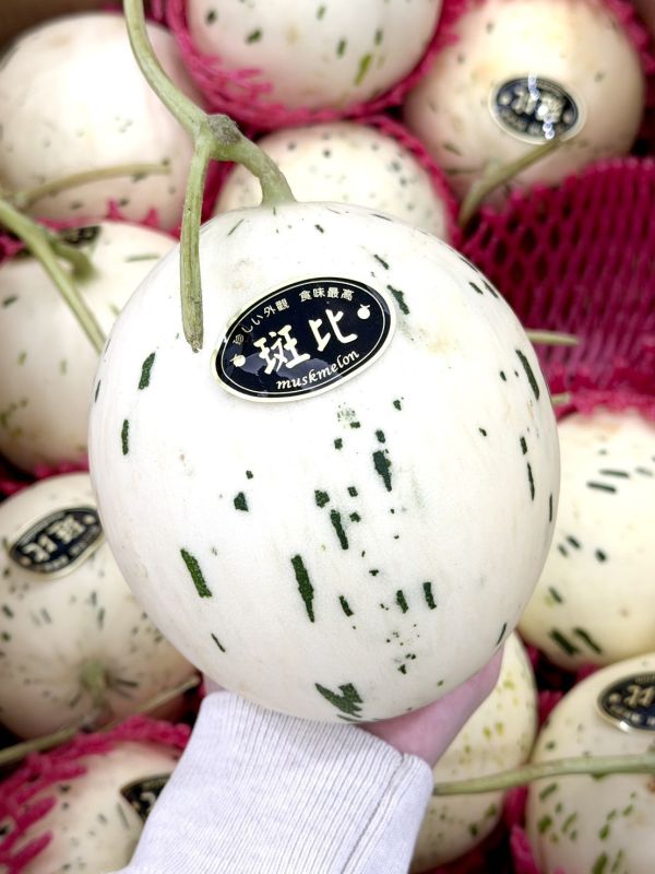 溫室精品斑比哈密瓜(白肉) 斑比哈密瓜,哈密瓜,斑比