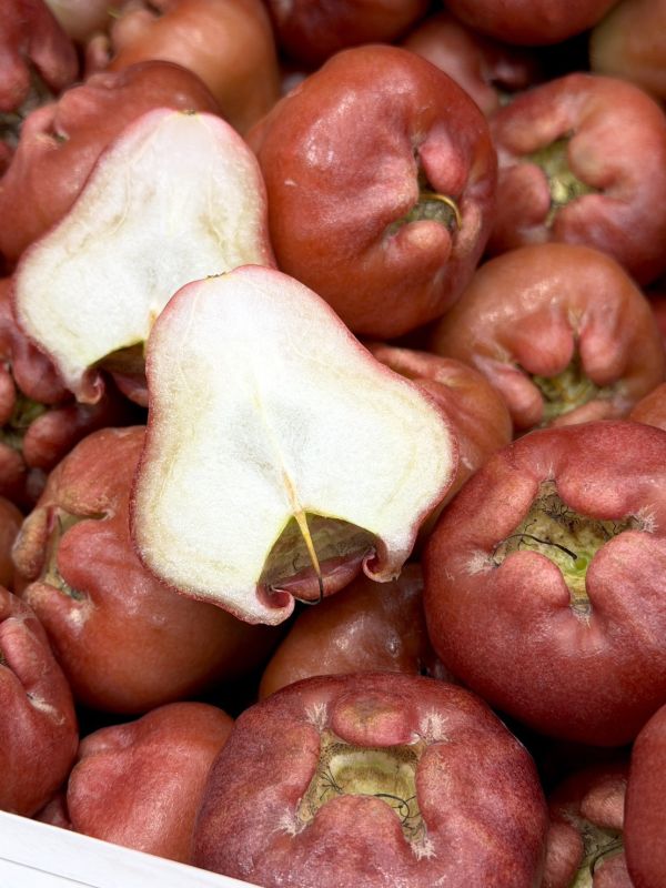 在地嚴選林邊蓮霧 蓮霧