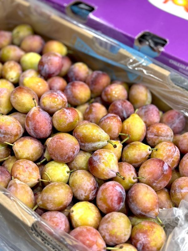 智利進口蜜棗（李子） 蜜棗,智利蜜棗,李子