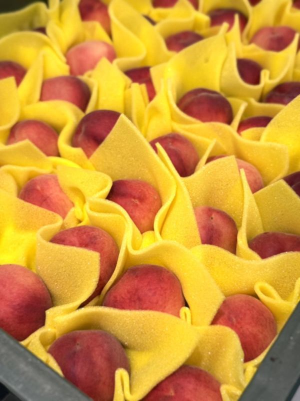 嚴選新社紅鈴水蜜桃 新社紅鈴水蜜桃,新社水蜜桃,新社,紅鈴水蜜桃,水蜜桃