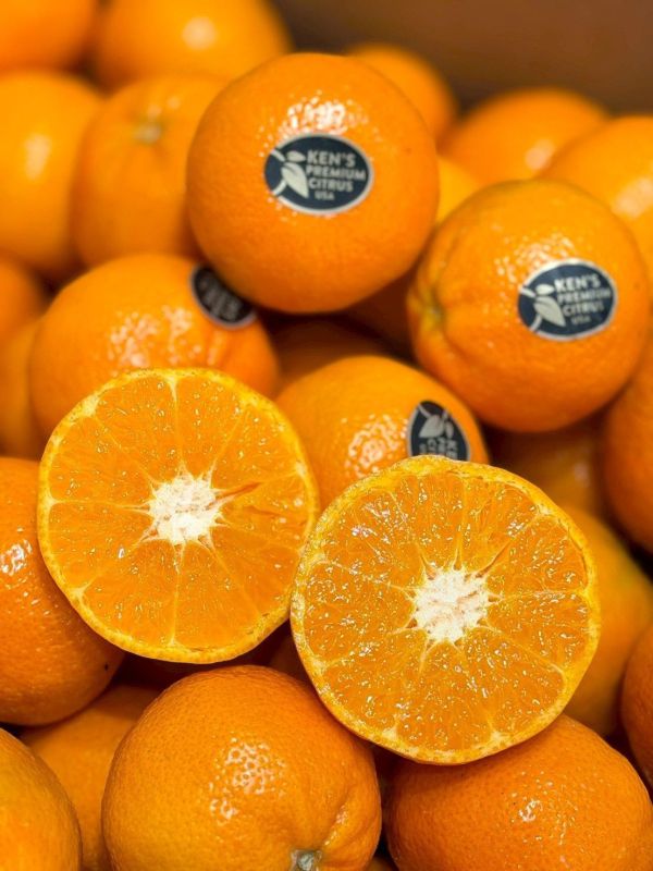 美國進口砂糖橘 美國砂糖橘,砂糖橘,peeiz,peeiz砂糖橘,黑標