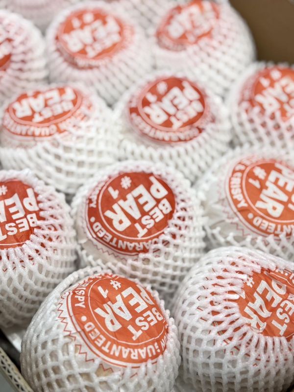 韓國進口大水梨 新高梨,韓國梨,金果梨,水梨,韓國水梨