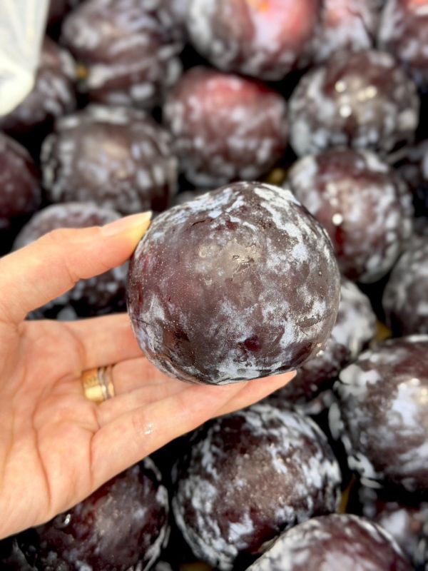 智利進口黑李 智利進口黑李,黑李,李子