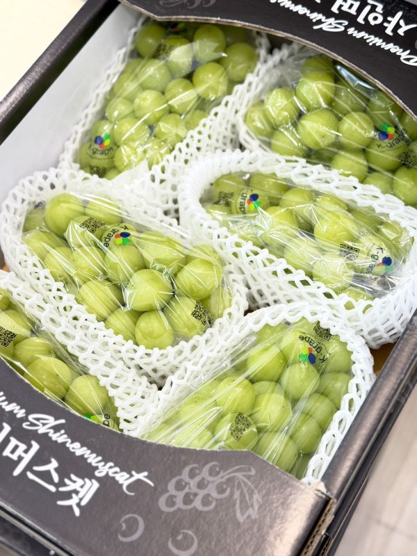 韓國閃耀麝香葡萄 韓國閃耀麝香葡萄,麝香,麝香葡萄,葡萄,韓國麝香