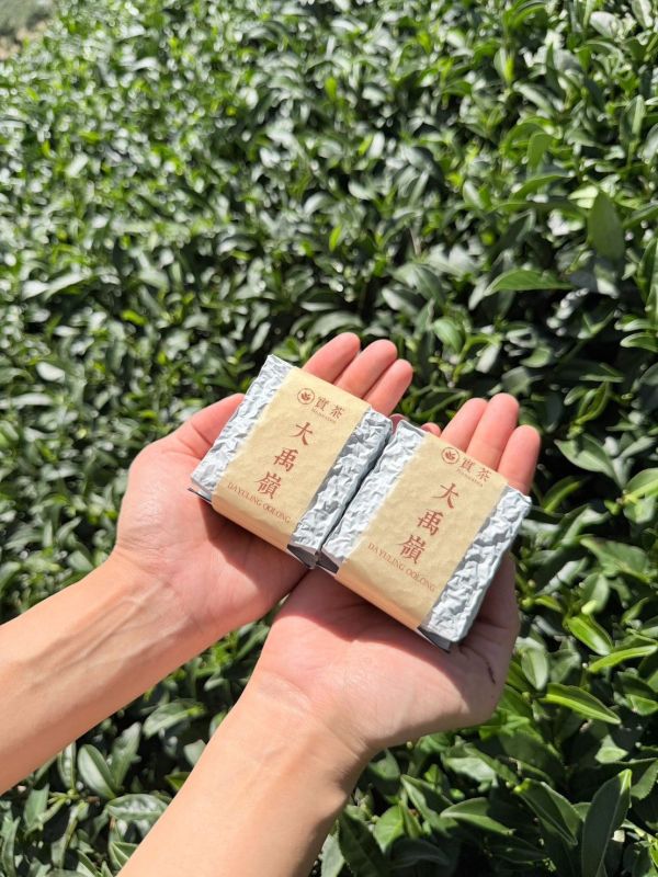 大禹嶺頂級高冷烏龍茶 