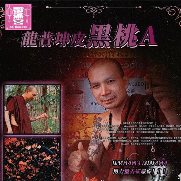 龍普坤皮-黑桃A 