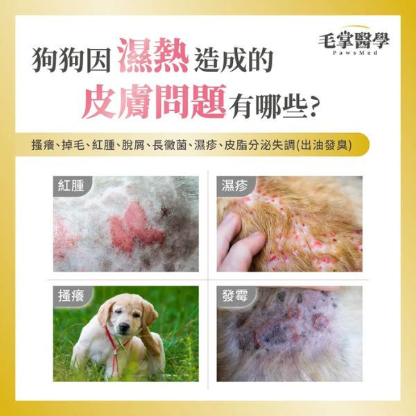 【毛掌醫學】 PawsMed 寵物保健品｜舒緩營養素/狗皮膚排濕舒緩營養素 50g｜犬貓皮膚保健 腸胃益生菌 魚油補充 狗狗皮膚保健,毛掌醫學,PawsMed,狗狗營養品,皮膚排濕,狗狗益生菌,狗狗過敏,狗狗掉毛,狗狗癢,犬用營養補給,皮膚護理補充,狗狗皮膚紅腫,毛髮亮澤營養,寵物皮膚發炎,犬用乳酸菌,犬用維生素E,皮膚營養粉,犬用抗敏營養