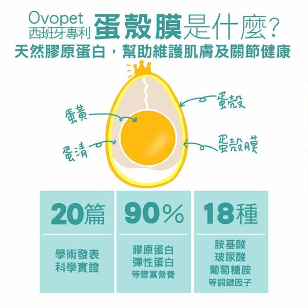 【IN-Plus】蛋殼膜關節保健 30顆/60顆 雙效呵護配方 犬貓適用 蛋殼膜關節保健

狗狗關節保健品

貓咪關節保養

犬貓MSM保健品

葡萄糖胺 軟骨素 狗

關節靈活 犬貓

狗狗關節保健推薦

貓咪關節保健推薦