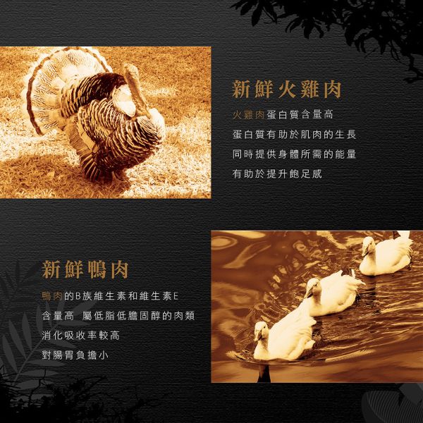 【安柏希雅 Ambrosia】 無穀鮮肉犬糧 2kg｜全齡犬/幼母犬/小型犬 火雞肉+兔肉/鴨肉/雞肉+鮭魚/雞肉+鮮魚 狗飼料 主食低敏配方 無穀犬糧, 鮮肉犬糧, 全齡犬飼料, 小型犬飼料, 幼母犬飼料, 低敏狗飼料, 狗主食推薦, 安柏希雅犬糧, 火雞肉犬糧, 鴨肉狗飼料, 鮭魚犬糧, 雞肉犬糧