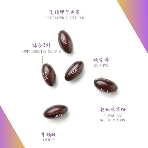 【Life+ 虎揚 】 生命膠囊 犬貓保健營養品 60粒｜亮毛護膚 促進代謝 提升免疫力 補充營養蛋白 維持健康活力 Life+生命膠囊,犬貓營養品,亮毛護膚,毛髮保健,免疫提升,魚肝油營養,皮膚保健,犬用膠囊,貓用膠囊,寵物營養補充品,毛孩健康,營養補給