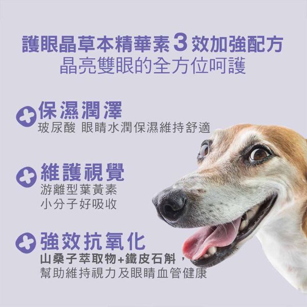 【IN-Plus】犬用保健品 & 護眼晶草本精華素｜護眼配方40g・骨力補關節心臟配方28包・5051高效益生菌24包 IN PLUS 犬用保健品

狗狗護眼保健

狗狗關節心臟保健

狗狗益生菌推薦

狗狗葉黃素補充

狗狗腸胃保健品

狗狗免疫力提升

犬用 CoQ10 保健

狗狗腸道健康益生菌

IN PLUS 護眼晶