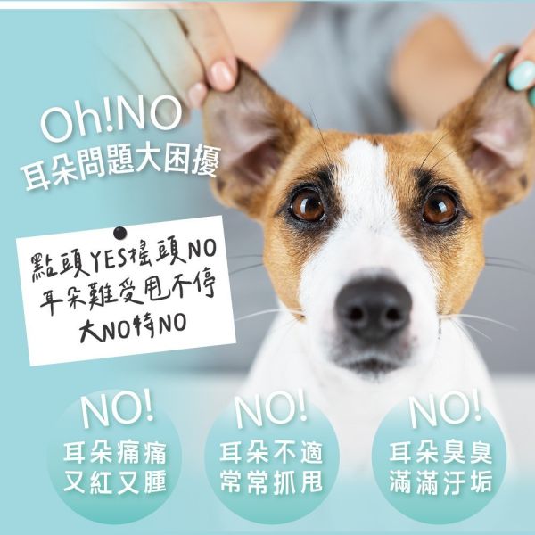 【臭味滾 】 日常潔耳液 200ml｜狗貓專用低敏潔耳液 去耳垢除異味 預防耳臭 臭味滾潔耳液、狗狗潔耳液、貓咪潔耳液、寵物潔耳液推薦、犬貓潔耳液、去耳垢潔耳液、寵物耳道清潔、狗貓除耳臭、低敏潔耳液、臭味滾200ml