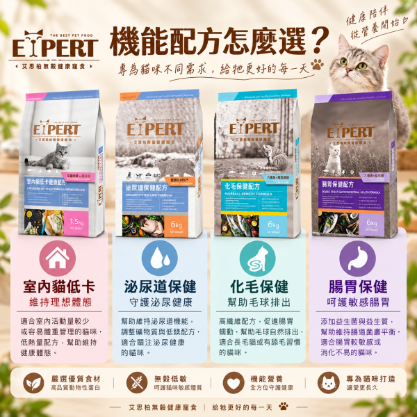 艾思柏 EXPERT 貓飼料 6KG 艾思柏 貓無穀飼料 化毛 腸胃 熟齡貓 泌尿 紅藜寵食 幼母貓鮭魚 成貓鮪魚 艾思柏貓飼料、艾思柏無穀飼料、貓低卡飼料、熟齡貓飼料、泌尿保健貓飼料、腸胃保健貓飼料、化毛貓飼料、無穀低敏貓糧、6kg貓飼料、大包裝貓飼料