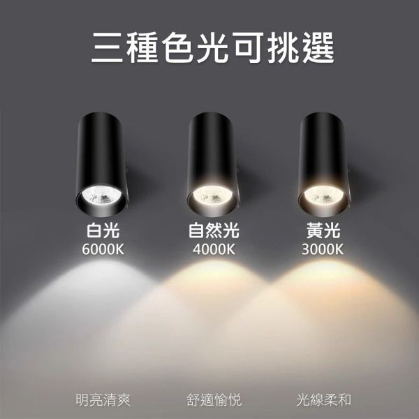 認證通過 LED軌道燈 Cob爆亮款 黑殼/白殼 經典消光直筒 9W 12W 20W 投射燈 國家認證 原廠保固2年 LED軌道燈,COB軌道燈,爆亮燈,軌道投射燈,展示燈具,黑殼軌道燈,白殼軌道燈,商業照明,服飾店燈,國家認證燈具