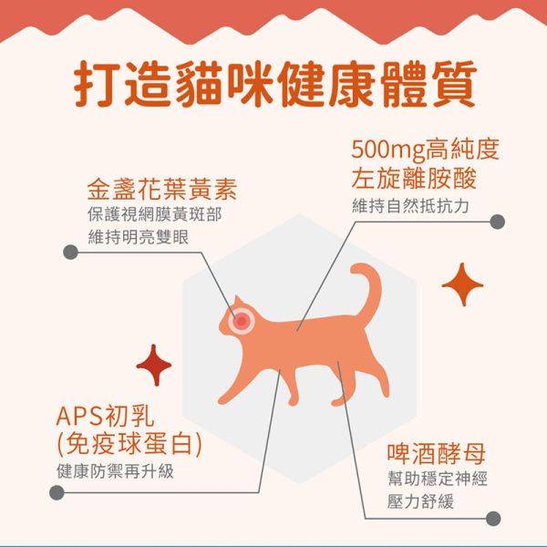 【IN-Plus】 貓咪保健系列【新版】90顆/30入｜完整型魚油嚼碇・蔓越莓泌尿安・左旋離胺酸・益生菌牛磺酸 IN PLUS 貓咪保健品

貓咪魚油嚼碇

貓咪泌尿保健

貓咪蔓越莓補充

貓咪免疫保健

左旋離胺酸貓用

貓咪益生菌牛磺酸

貓咪腸胃保健

IN PLUS 新版貓保健

貓咪營養補充品推薦