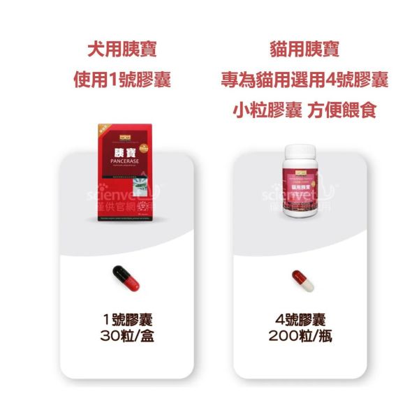 【賽恩威特】 胰寶 PANCREASE 30粒｜犬貓胰臟保健 消化酵素補充 幫助吸收 改善軟便 維持腸胃健康 賽恩威特,胰寶,Pancrease,胰臟保健,犬貓酵素,腸胃保健,狗胰臟保健,貓胰臟保健,消化酵素,營養吸收,胰臟功能不全,軟便改善