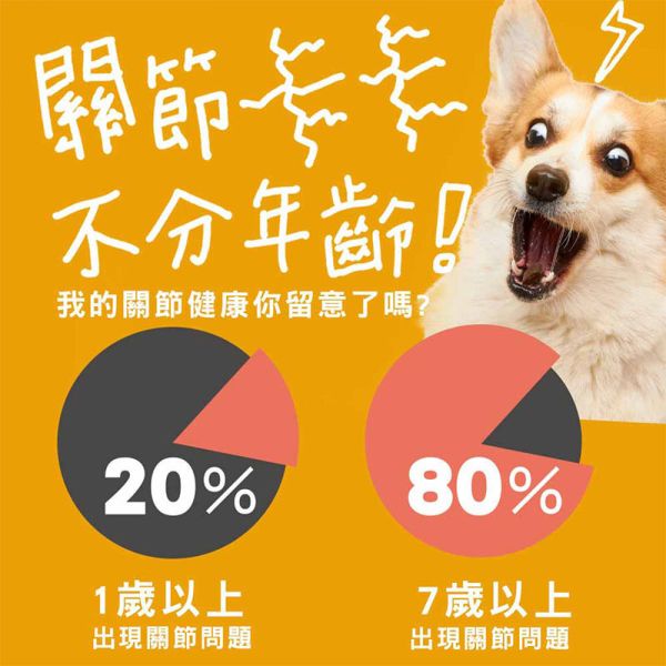 【IN-Plus】蛋殼膜關節保健 30顆/60顆 雙效呵護配方 犬貓適用 蛋殼膜關節保健

狗狗關節保健品

貓咪關節保養

犬貓MSM保健品

葡萄糖胺 軟骨素 狗

關節靈活 犬貓

狗狗關節保健推薦

貓咪關節保健推薦