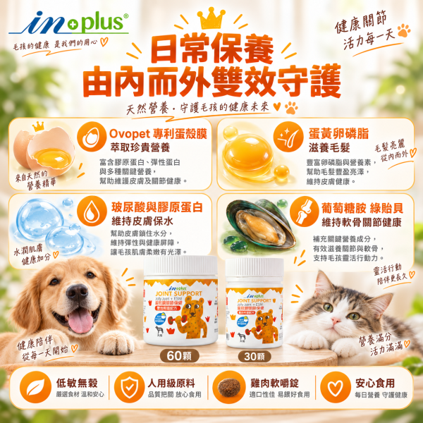 【IN-Plus】蛋殼膜關節保健 30顆/60顆 雙效呵護配方 犬貓適用 蛋殼膜關節保健

狗狗關節保健品

貓咪關節保養

犬貓MSM保健品

葡萄糖胺 軟骨素 狗

關節靈活 犬貓

狗狗關節保健推薦

貓咪關節保健推薦