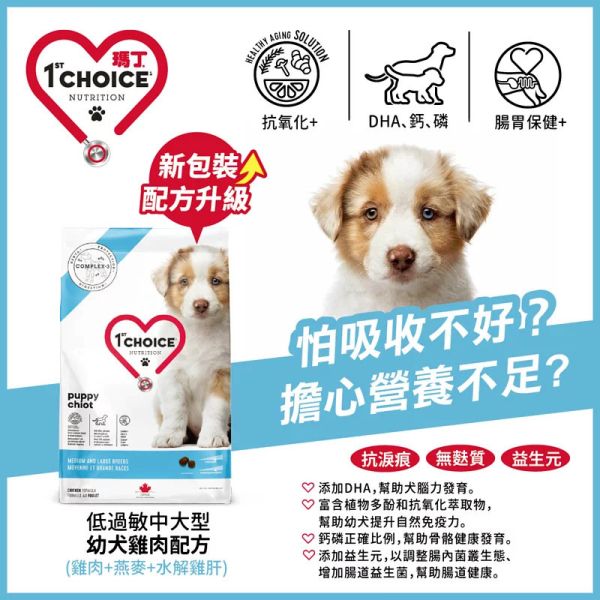 瑪丁 犬飼料 11 KG / 12KG中大型幼犬低敏雞肉 高齡犬羊肉 配方 高齡犬 羊肉飼料

中大型幼犬 飼料 推薦

低敏狗飼料 11kg 12kg

瑪丁 1st Choice 犬糧

成犬高齡犬 羊肉配方

幼犬雞肉配方 大顆粒

加拿大進口 狗飼料
