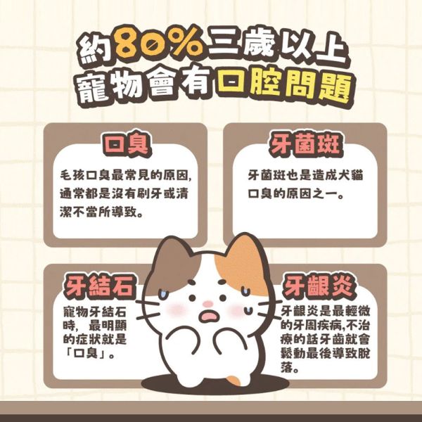 【卡默 CaMo】貓用 軟Q潔牙棒系列 森活益菌 / 蜜果酵素 / 牛肉莓果 / Q彈乳鈣 台灣製 貓潔牙棒, 卡默貓潔牙棒, Camo貓潔牙棒, 貓口腔保健, 貓牙結石, 貓牙垢, 貓口臭, 貓咪零食, 貓咪牙齒清潔, Q彈潔牙棒, 台灣製貓潔牙棒, 蜜果酵素, 牛肉莓果潔牙棒, GOIS生活館