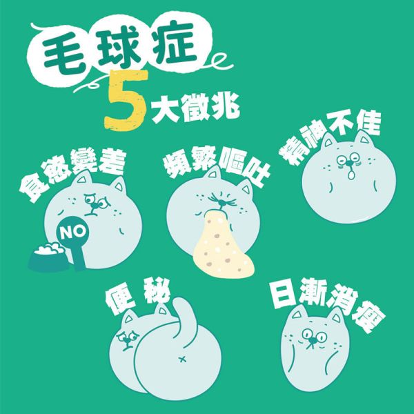 【IN-Plus】 貓咪腸胃保健 貓草高纖排毛粉 18g｜幫助排毛 舒緩腸胃 提升消化健康 IN PLUS 貓咪排毛粉

貓咪腸胃保健品

貓咪毛球保健

貓草高纖粉

貓咪消化保健食品

貓咪排毛球推薦

IN PLUS 貓咪保健品

貓咪腸胃調理

貓咪嘔吐改善

高纖維貓咪營養品