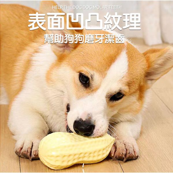 花生造型 寵物花生 啾啾玩具 發聲互動玩具 毛孩玩具 仿真玩具 發聲玩具 寵物玩具 啾啾玩具 磨牙玩具 潔牙玩具 狗玩具,狗狗玩具,磨牙玩具,耐咬狗玩具,發聲玩具,寵物玩具,寵物互動玩具,橡膠咬咬玩具,狗狗潔牙玩具,幼犬玩具,中大型犬玩具,花生造型玩具,狗狗訓練玩具,寵物用品推薦