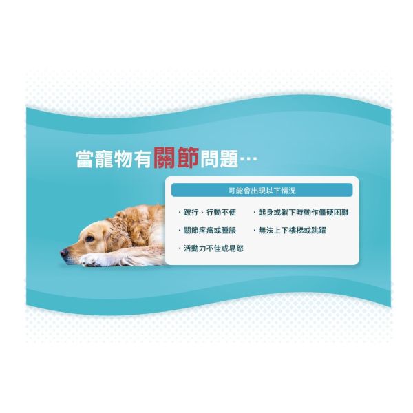 【賽恩威特】 一錠護 1-TDC｜犬貓關節保健 牙齦護理 皮膚修護 美毛營養品 關節靈活 抗發炎 提升行動力 賽恩威特,一錠護,1-TDC,關節保健,犬貓關節,牙齦保健,狗關節保養,貓牙齦炎,皮膚修護,抗發炎營養品,美毛保健,行動力提升