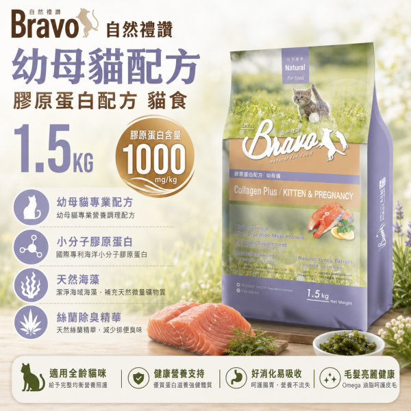 【Bravo 自然禮讚】膠原蛋白貓飼料1.5KG｜幼母貓／鮭魚／鮪魚｜貓糧 貓乾糧 Bravo自然禮讚貓飼料1.5KG、Bravo膠原蛋白貓糧、自然禮讚鮭魚貓飼料、自然禮讚鮪魚貓飼料、幼母貓飼料1.5kg、貓飼料小包裝推薦