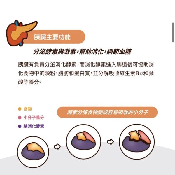 【賽恩威特】 胰寶 PANCREASE 30粒｜犬貓胰臟保健 消化酵素補充 幫助吸收 改善軟便 維持腸胃健康 賽恩威特,胰寶,Pancrease,胰臟保健,犬貓酵素,腸胃保健,狗胰臟保健,貓胰臟保健,消化酵素,營養吸收,胰臟功能不全,軟便改善