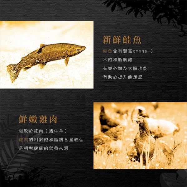 【安柏希雅 Ambrosia】 無穀鮮肉犬糧 2kg｜全齡犬/幼母犬/小型犬 火雞肉+兔肉/鴨肉/雞肉+鮭魚/雞肉+鮮魚 狗飼料 主食低敏配方 無穀犬糧, 鮮肉犬糧, 全齡犬飼料, 小型犬飼料, 幼母犬飼料, 低敏狗飼料, 狗主食推薦, 安柏希雅犬糧, 火雞肉犬糧, 鴨肉狗飼料, 鮭魚犬糧, 雞肉犬糧