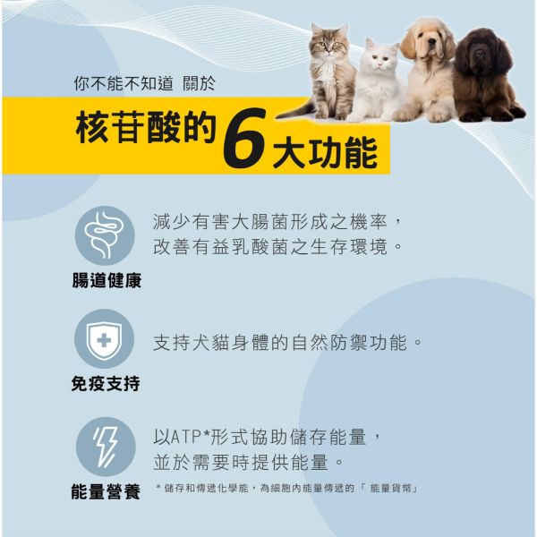 【賽恩威特】 腸利康 GutCare 40粒｜犬貓腸胃保健益生菌 補充好菌 改善軟便 維持腸道健康 提升免疫力 賽恩威特,腸利康,GutCare,犬貓益生菌,腸胃保健,貓軟便,狗腹瀉,益生菌保健品,寵物腸胃補充,腸道好菌,腸胃益生菌