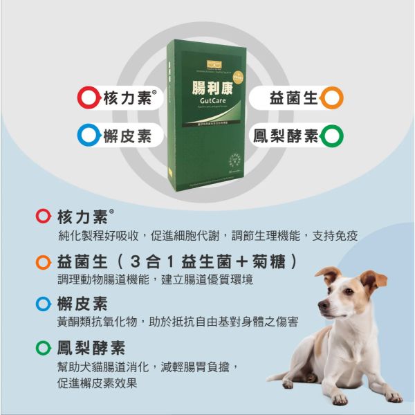 【賽恩威特】 腸利康 GutCare 40粒｜犬貓腸胃保健益生菌 補充好菌 改善軟便 維持腸道健康 提升免疫力 賽恩威特,腸利康,GutCare,犬貓益生菌,腸胃保健,貓軟便,狗腹瀉,益生菌保健品,寵物腸胃補充,腸道好菌,腸胃益生菌