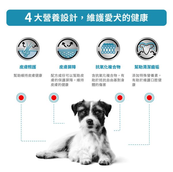 皇家【犬】皮膚病小型犬配方乾糧 SKS25犬皮膚病小型犬處方4kg / 2kg 皇家皮膚病狗飼料

狗狗異位性皮膚炎飼料

小型犬皮膚問題狗糧

狗狗掉毛皮屑飼料

狗狗皮膚過敏吃什麼

狗狗皮膚護理乾癢

Royal Canin SKS25

狗過敏性皮炎配方飼料

狗皮膚炎狗乾飼料

皮膚病狗飼料推薦