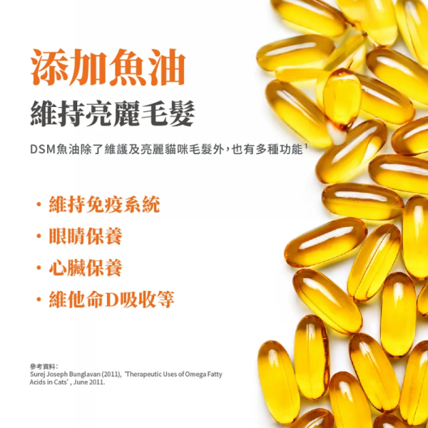 【毛掌醫學 】 貓咪天然植纖排毛粉 50g｜高纖助排毛 保護腸胃 貓用保健品 排毛粉

貓咪排毛粉

毛球保健粉

天然植纖保健品

貓咪腸胃保健

貓毛球排出

貓咪高纖補充

 毛掌醫學

貓咪保健食品

植纖排毛粉