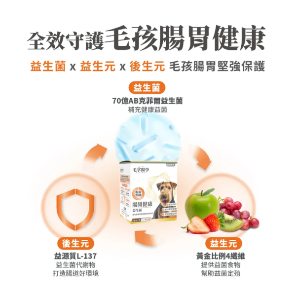 【毛掌醫學】貓 / 狗腸胃健康益生菌 2g*30包｜提升腸胃免疫 調整腸道菌叢 寵物益生菌保健品 毛掌醫學 益生菌

PawsMed 腸胃益生菌

狗狗益生菌 腸胃保健

貓咪益生菌 調整腸道

寵物腸胃保健食品

寵物益生菌推薦

犬貓腸胃調理

寵物軟便改善

全齡犬貓益生菌

天然無添加寵物保健