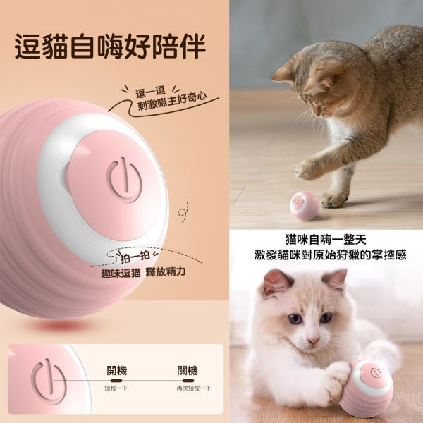 智能逗貓球 自動滾動貓玩具｜會滾動的逗貓球 貓草球 可充電互動球 智能引誘滾動球 寵物解悶訓練球 逗貓球,智能逗貓球,自動滾動貓球,會滾動的逗貓球,自動貓玩具,貓草球,滾動貓球,互動貓玩具,電動貓玩具,智能貓玩具,貓咪玩具,貓咪互動球,貓咪自動玩具,滾動球玩具,貓球玩具,可充電逗貓球