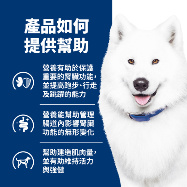 Hill’s 希爾思 犬用 k/d + j/d 腎臟病護理＆關節活動力處方乾糧 8.5磅｜犬腎臟與關節雙重營養管理 希爾思 k/d j/d

犬 腎臟病 關節 處方飼料

狗 腎臟 護理 飼料

犬 關節 活動力 處方糧

Hill’s k/d + j/d