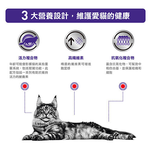 皇家  WK32 貓熟齡均衡配方乾糧｜7 歲以上熟齡貓營養管理｜1.5KG／3.5KG 老貓飼料、熟齡貓飼料、7 歲以上貓飼料、Royal Canin WK32、貓熟齡配方、老貓營養飼料