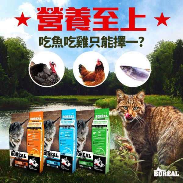 【波瑞歐 BOREAL】 無穀犬糧 12磅｜室內貓化毛調理・高齡貓關節護理・海陸野饌・海宴三重奏・鮮雞肉 全齡貓 波瑞歐 BOREAL 貓飼料

無穀貓飼料 12磅

大包裝貓飼料推薦

室內貓化毛飼料

高齡貓飼料 關節保健

全齡貓無穀飼料

低敏貓飼料推薦

加拿大無穀貓糧

貓咪大包裝飼料

貓咪鮮雞肉飼料

貓咪魚肉飼料