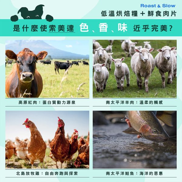 【索美達 Soulmate 】 犬用烘焙糧+鮮食肉片 1.8kg｜低溫烘焙 狗飼料 主食糧 牛羊 雞肉 深海魚 狗飼料推薦、低溫烘焙犬糧、紐西蘭狗飼料、無穀狗糧、天然狗糧推薦、Soulmate 狗飼料、犬主食糧 1.8kg、牛羊狗飼料、雞肉狗飼料、深海魚狗飼料、AAFCO 認證狗糧、鮮肉片狗糧