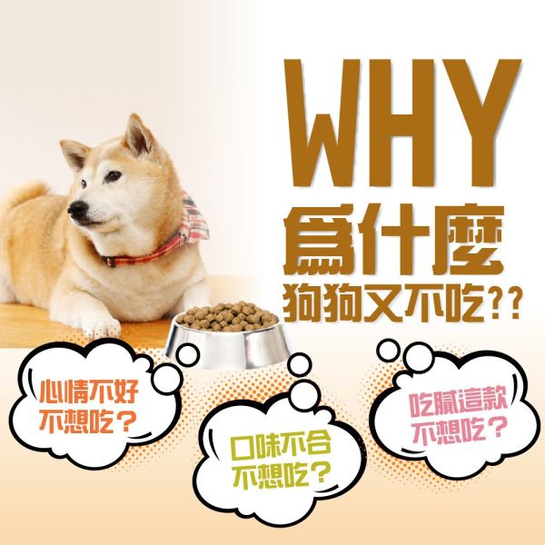 健康紀元 HEALTHYEAR 狗飼料 1kg｜挑嘴犬專用配方/幼犬成長配方/關節加強葡萄糖胺｜雞肉/牛肉乾糧＋肉塊 狗飼料推薦、挑嘴狗飼料、幼犬飼料、關節保健狗飼料、葡萄糖胺狗飼料、牛肉狗飼料、雞肉狗飼料、1kg狗飼料、健康紀元狗飼料、毛孩乾糧