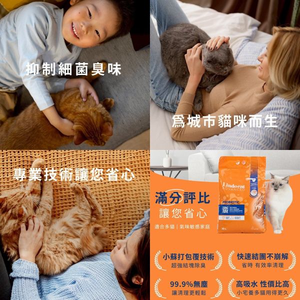 【Lindocat 歐洲之星】益生菌城市礦砂 9kg｜高效除臭 貓砂推薦 無粉塵 強凝結 多貓家庭首選 Lindocat,歐洲之星,益生菌貓砂,城市礦砂,礦砂推薦,貓砂9kg,高效除臭貓砂,多貓貓砂,無粉塵貓砂,強凝結貓砂,抑菌除臭貓砂,環保礦砂,天然礦物貓砂,益生菌礦砂