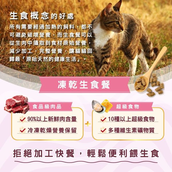 【索美達 Soulmate 】貓凍乾生食餐 20g｜深海魚/草飼牛肉/雞肉｜低溫烘焙 + 鮮食肉片｜高蛋白無添加 貓咪主食零食 貓凍乾生食餐

Soulmate 索美達

貓凍乾零食

貓咪主食推薦

貓咪高蛋白飼料

貓咪天然糧

貓咪無穀飼料

貓咪低溫烘焙糧

深海魚貓糧

草飼牛肉貓糧

雞肉凍乾貓糧

紐西蘭貓糧推薦