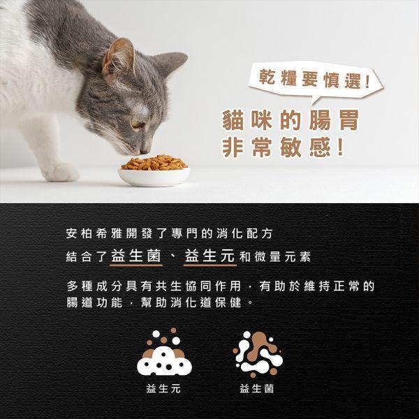 【安柏希雅 Ambrosia】無穀貓糧 100g｜成幼貓適用｜火雞肉雞肉／鮭魚雞肉／火雞鯡魚／鴨肉火雞／鱒魚兔肉 天然無穀鮮肉貓飼料 安柏希雅 貓糧
Ambrosia 貓飼料
無穀貓糧
無穀貓飼料
天然貓飼料
高蛋白貓糧
低敏貓糧
成貓貓糧
幼貓貓糧
貓咪主食飼料
火雞肉貓糧
鮭魚貓糧
鱒魚貓糧
鴨肉貓糧
兔肉貓糧
100g 貓飼料